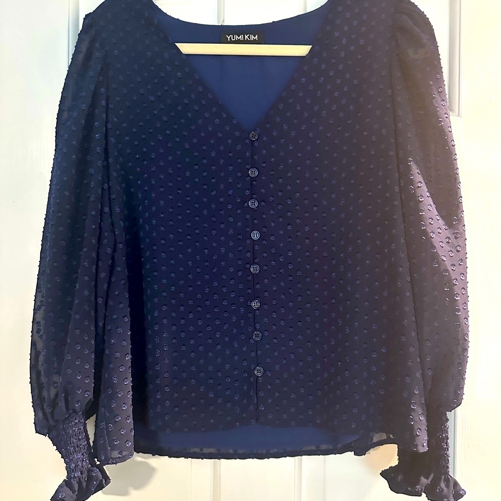 Yumi Kim Blue Puff Sleeve Blouse